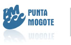 Punta Mogote